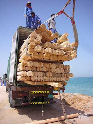 Construction de l'hôtel en bois dans les Emirats Arabes Unis, Ras Al Khaimah