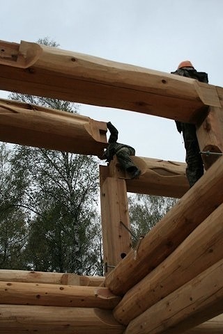 Construction de maisons en bois manuellement avec du cèdre rouge canadien