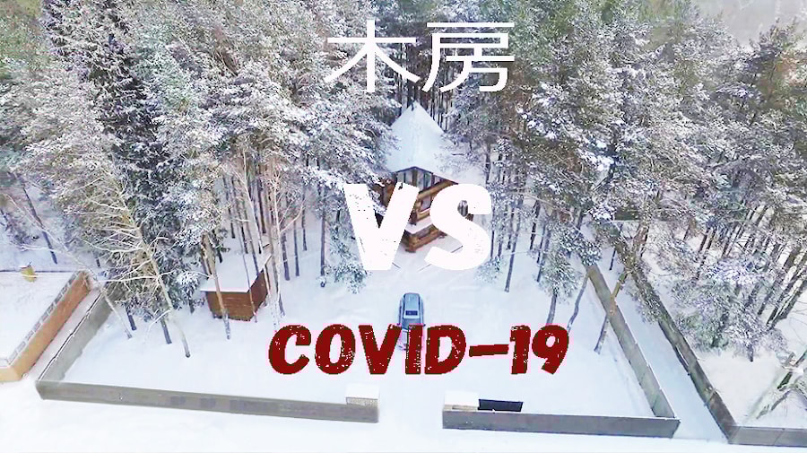 木材房屋中的植物杀灭剂及其对细菌、病毒和冠状病毒的控制。真的还是假的?